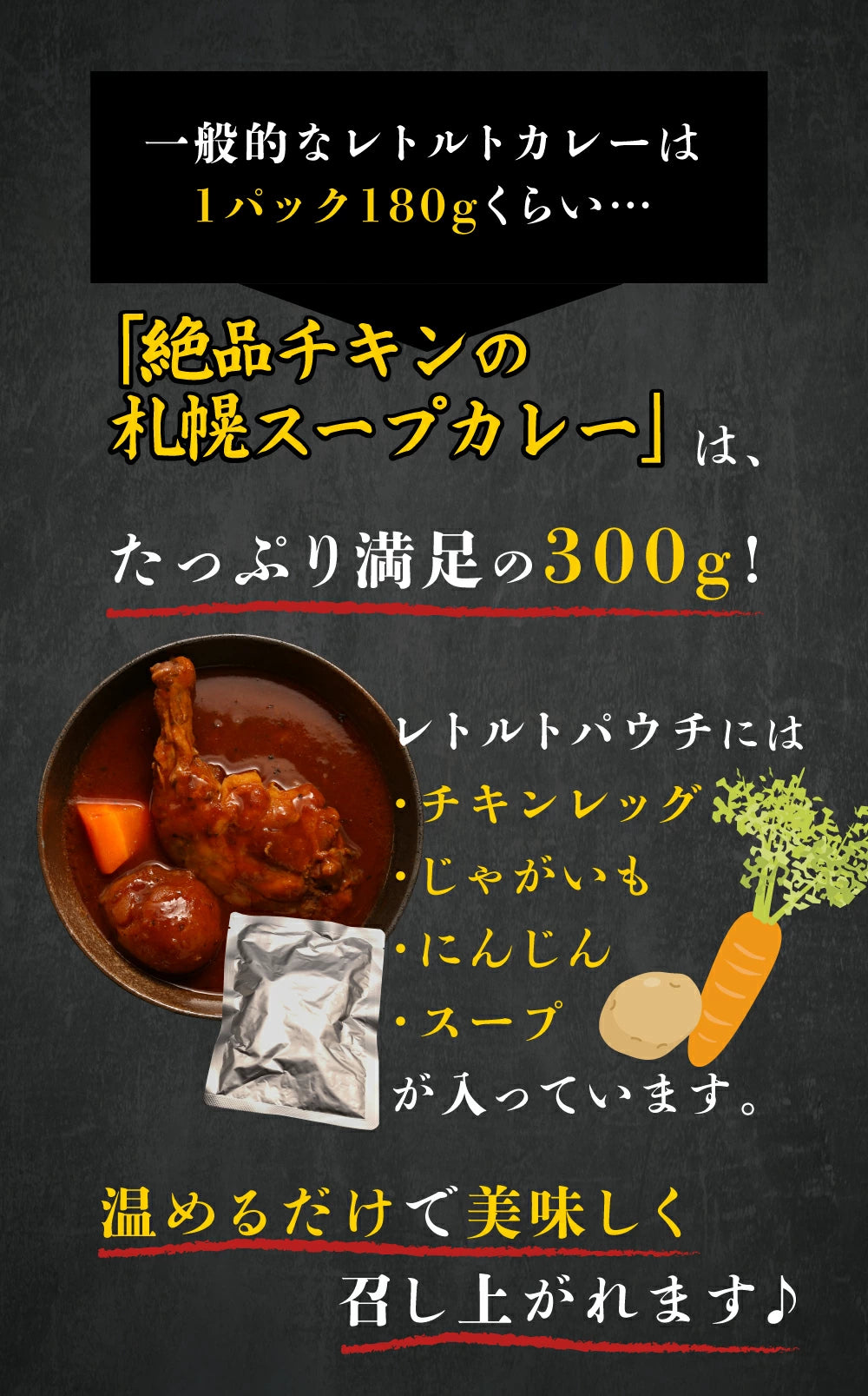絶品チキンの札幌スープカレー　–　300g×2食セット　送料無料　保存食にも　レトルト　櫻井商店